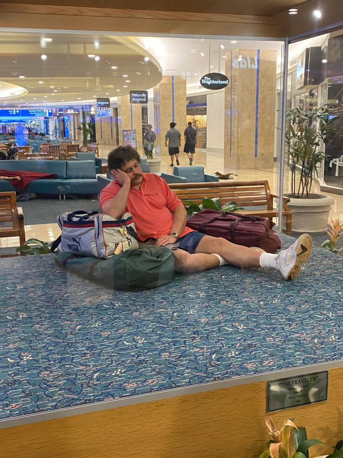 THE TRAVELER - DUANE HANSON