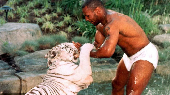 mike tyson and his tiger