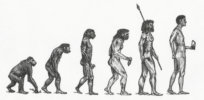 évolution homo sapiens