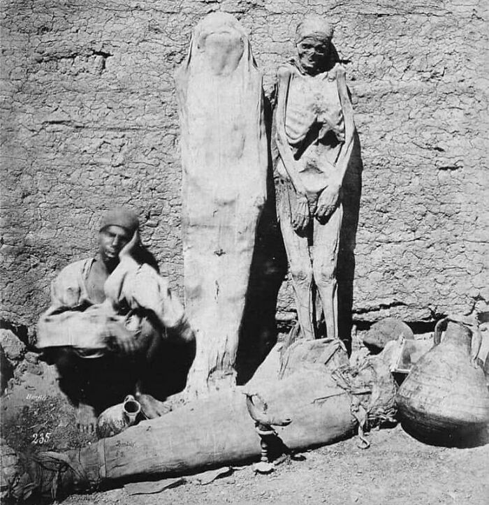 mummy seller in Egypt 1865