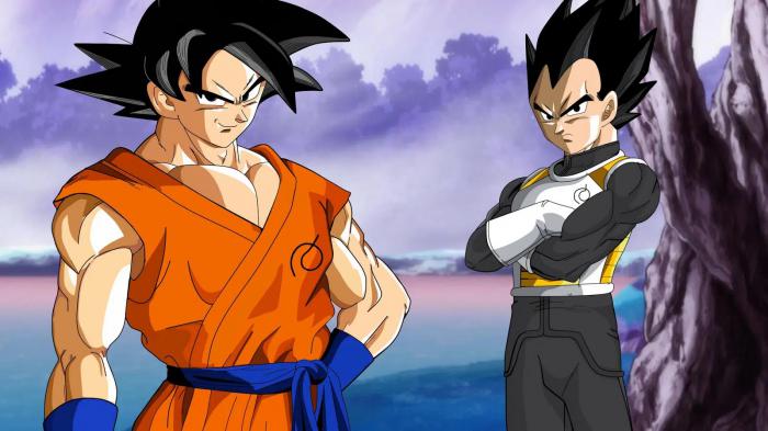 Goku et Vegeta rivaux dans Dragon Ball.