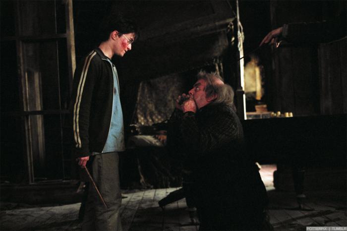 Harry Potter et Peter Pettigrow dans Le prisonnier d