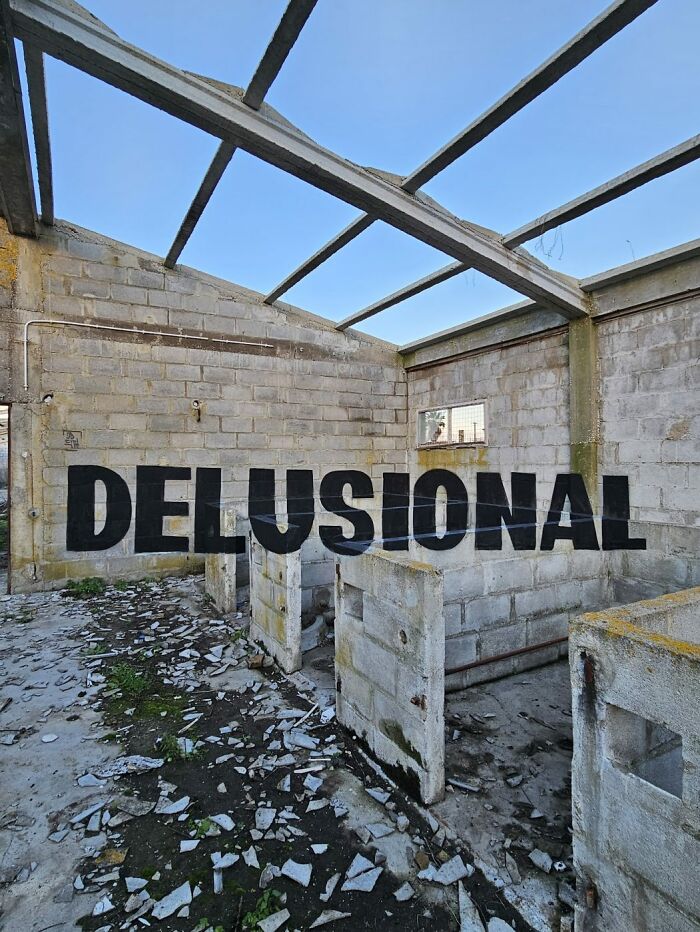 Désillusion