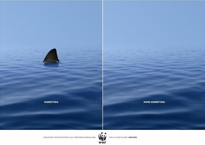 publicité wwf