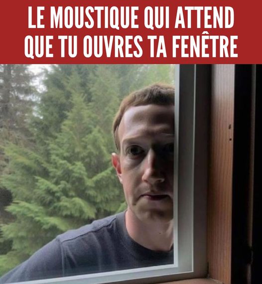 Mark Zuckerberg le PDg de Meta (Facebook)