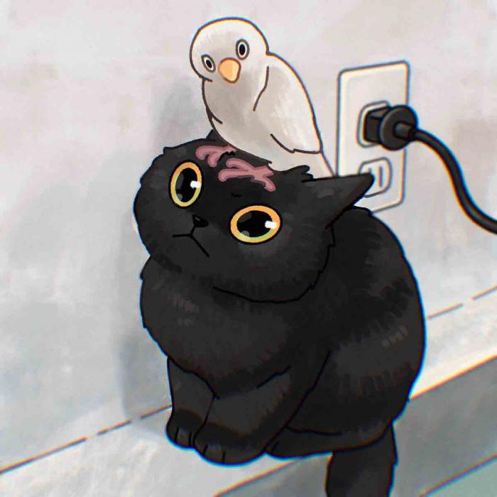 un chat avec un oiseau version cartoon