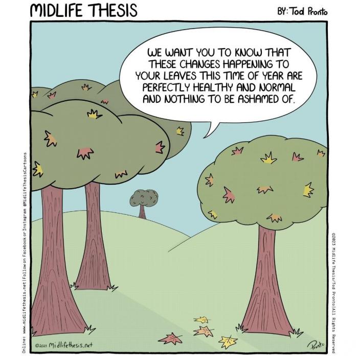 midlife thesis arbres