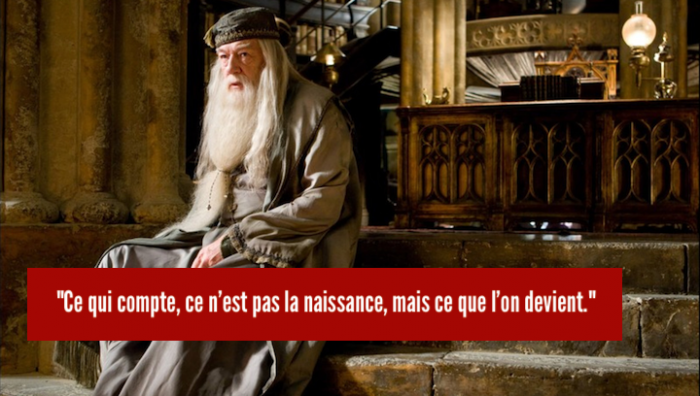 Dumbledore11