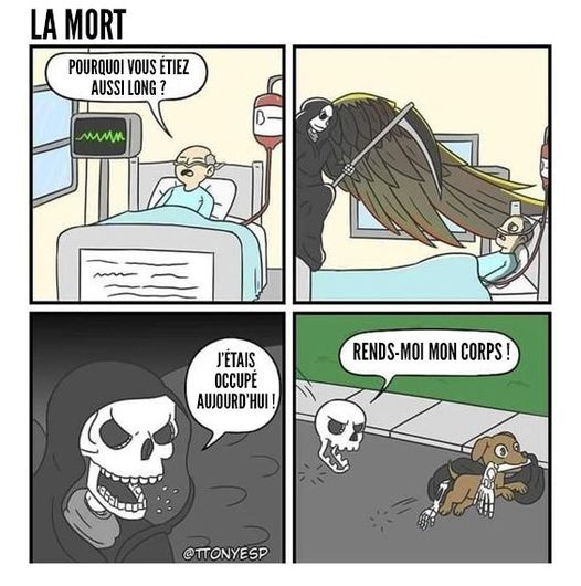 La Mort et un chien