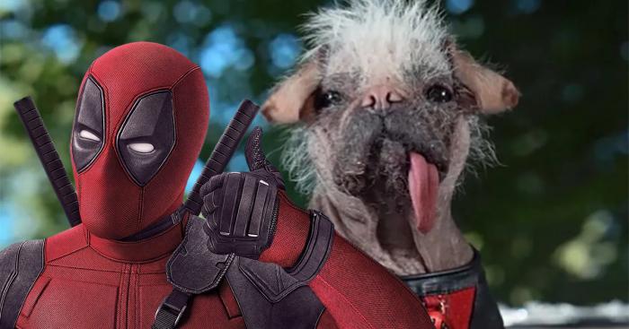 Dogpool, le variant de Deadpool détient cet étrange record