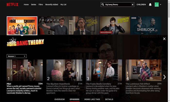 The Big Bang Theory sur Netflix