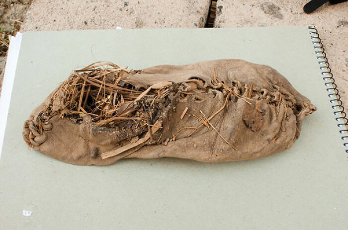 Chaussure la plus ancienne (5 500 ans)