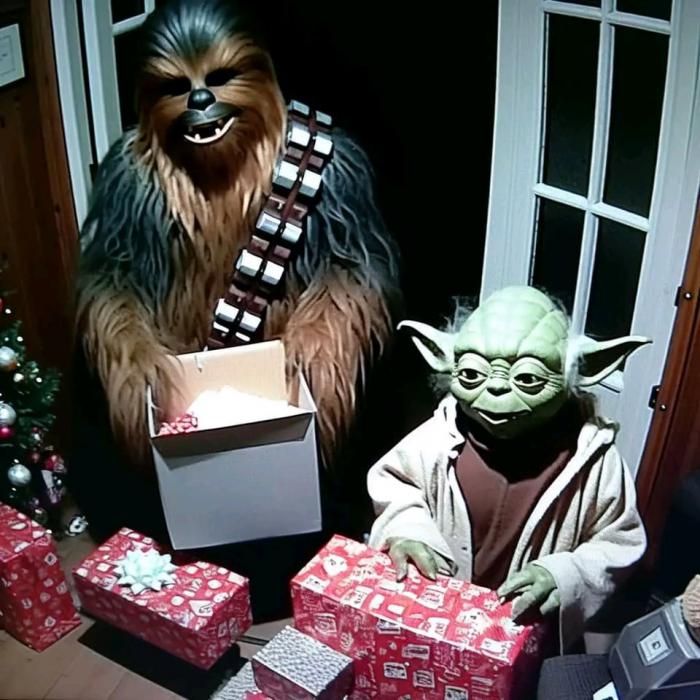 Chewbacca et Yoda