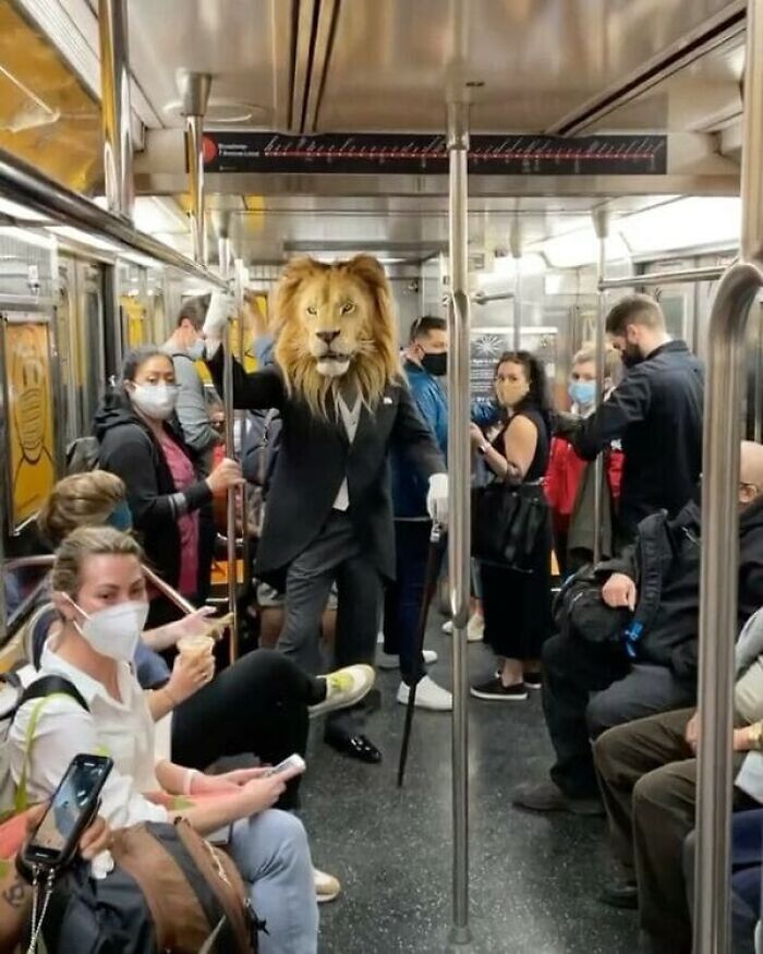 un homme déguisé en lion