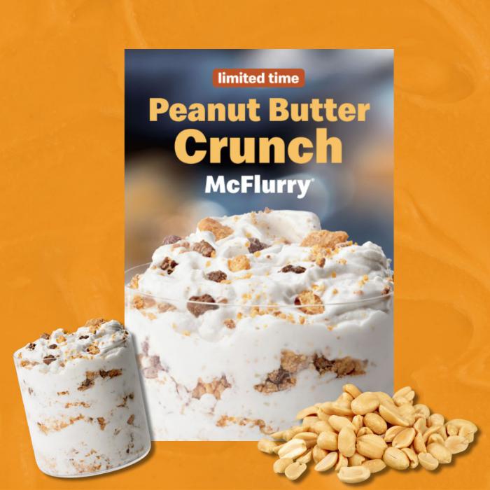 Peanut Butter Crunch McFlurry