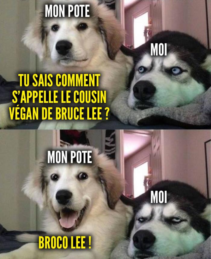 chiens