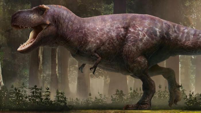 Une representation of Tyrannosaure Rex. 