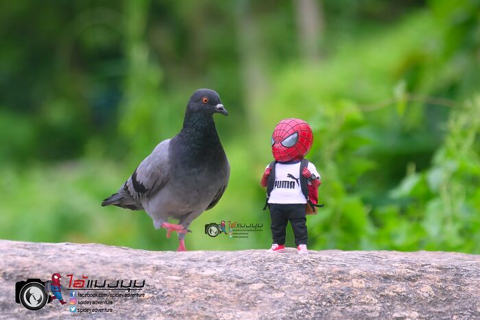 baby spiderman avec un pigeon