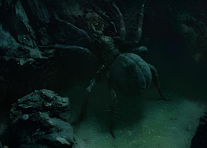 le-seigneur-des-anneaux_tolkien_terre-du-milieu_arachne