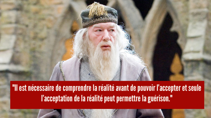 Dumbledore12