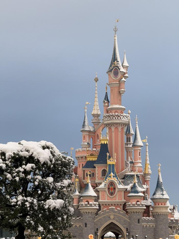 #15 Le Château de la Belle au bois dormant saupoudré de neige 