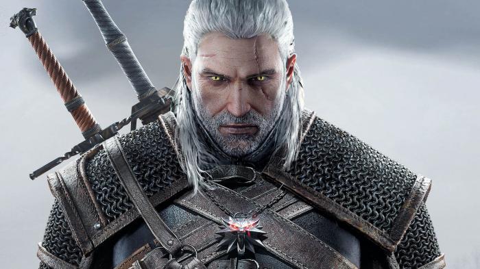 the Witcher