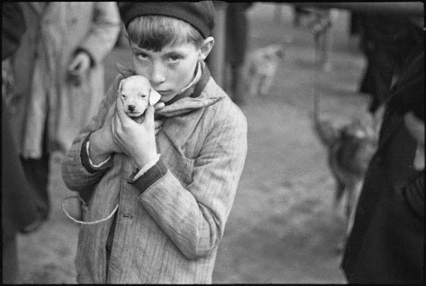 André Kertész.  Le petit chien 