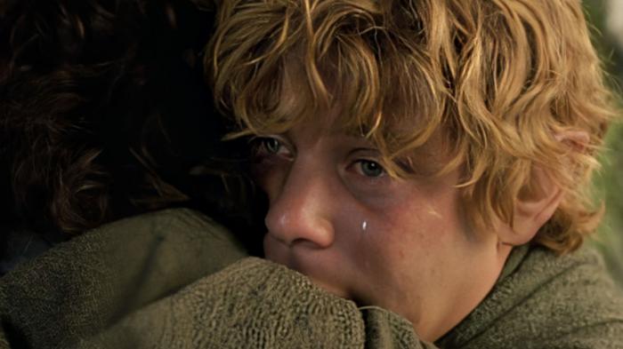 lotr movie sam and frodo goodbye