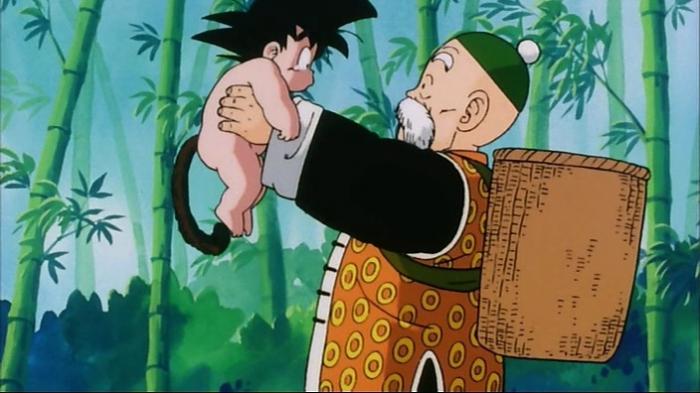 Grand-père Son Gohan