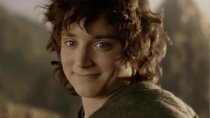 lotr movie frodo