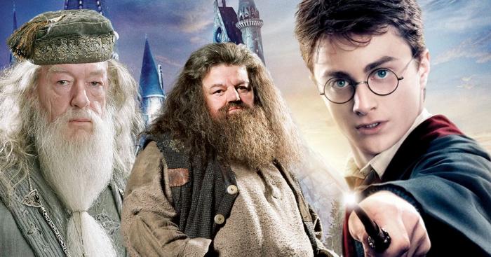 HBO trouve les acteurs pour jouer Dumbledore et Hagrid dans la série Harry Potter 