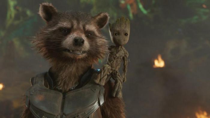 Groot & Rocket