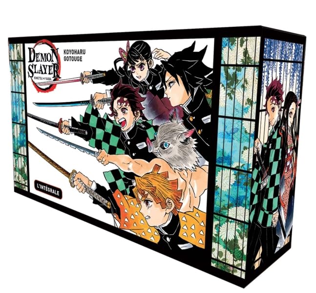 demon slayer coffret