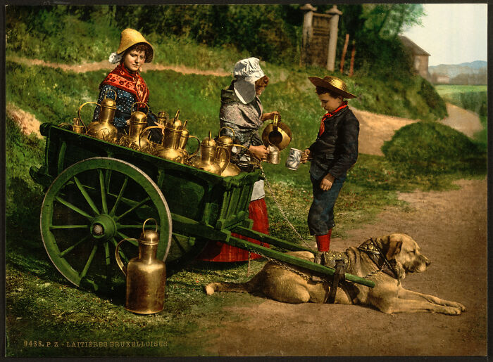 Vendeurs de lait, Bruxelles