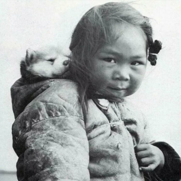 Une jeune fille inuite avec son husky dans la capuche en 1920