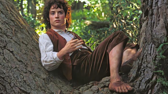 lotr movie frodo feet