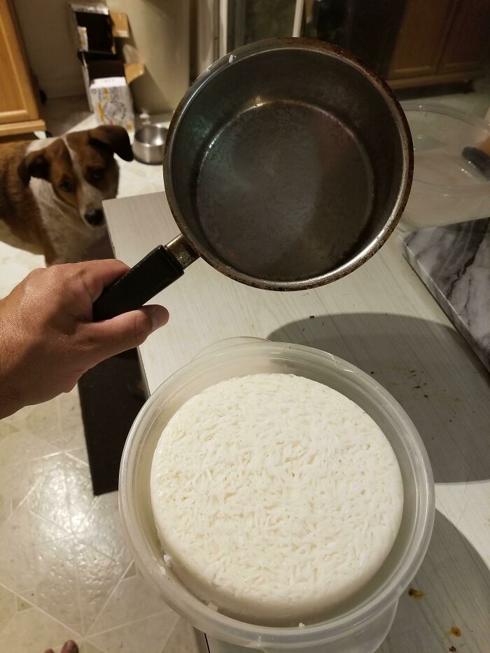 Une casserole de riz dans un tupperware