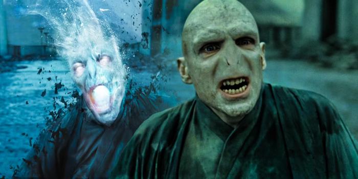 Harry Potter et la mort de Voldemort