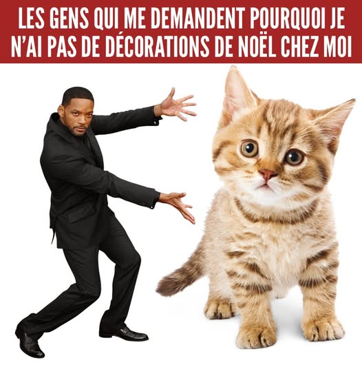 Will Smith et un chaton