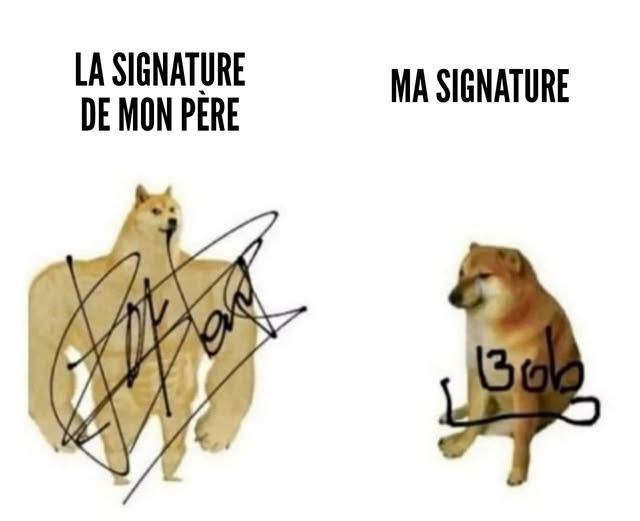 Signatures shiba