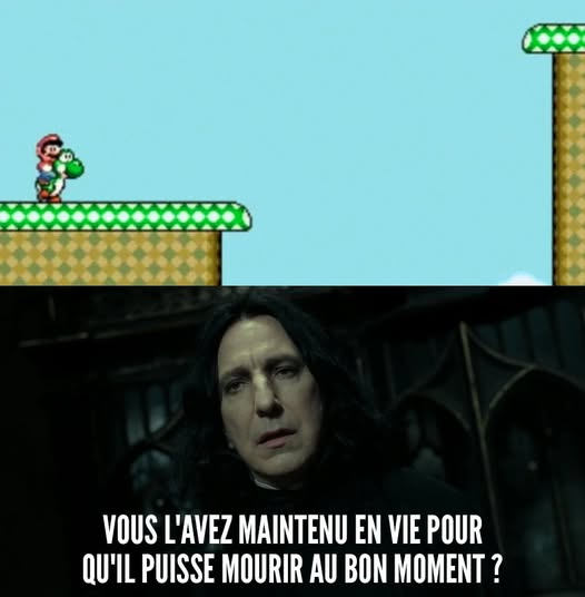 Super Mario World et Rogue dans la saga Harry Potter