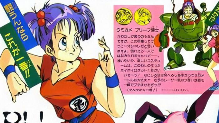 Dragon Ball: Adventure Special bulma dress like goku