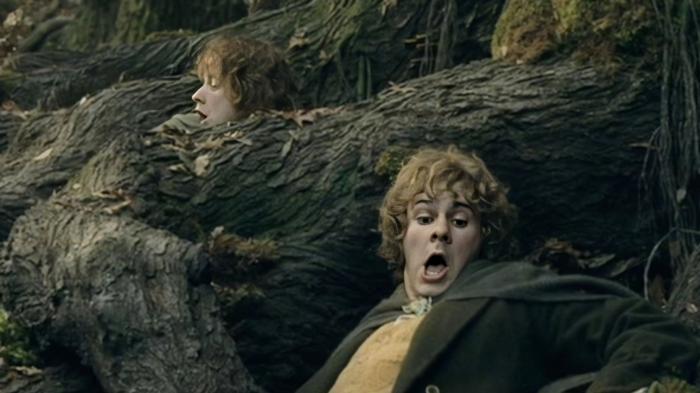 lotr old man willow attack merry and pippin