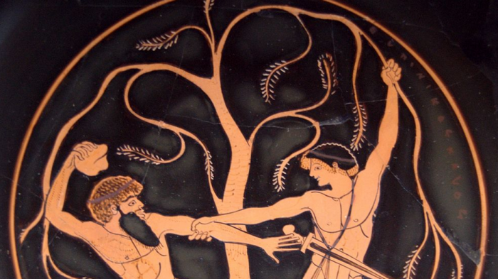 greek dryad