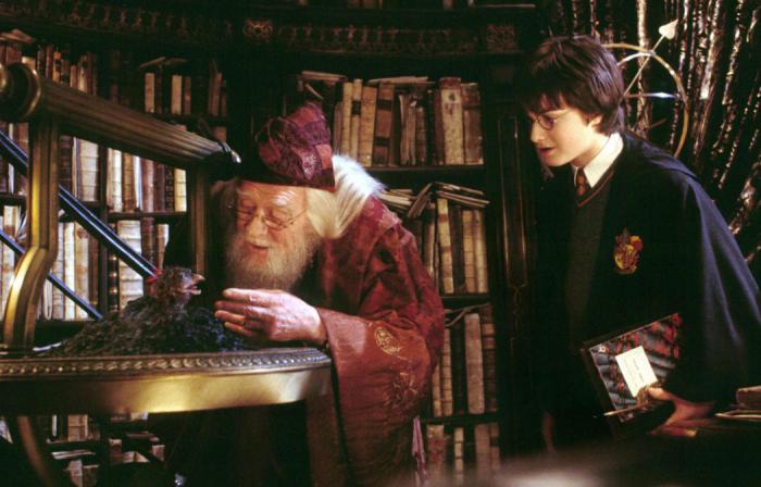 Dumbledore et harry potter