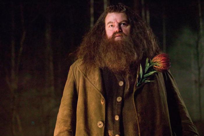 Hagrid