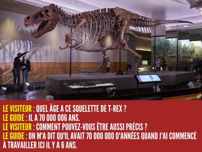 Squelette de T-Rex