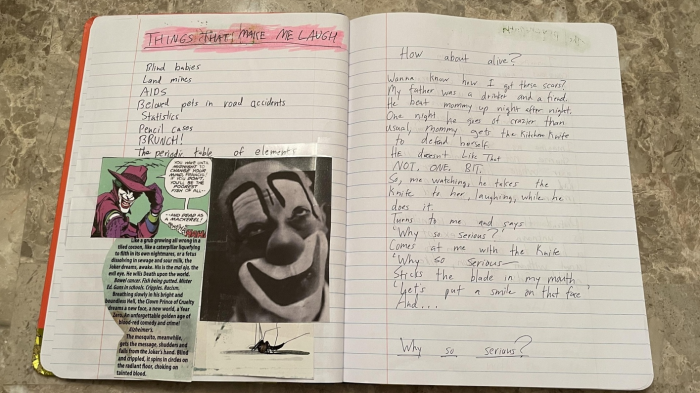 the dark knight joker diary