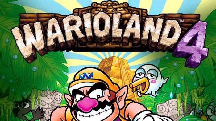 Wario Land