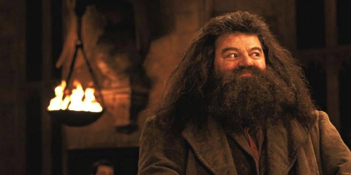 hagrid Harry potter 2